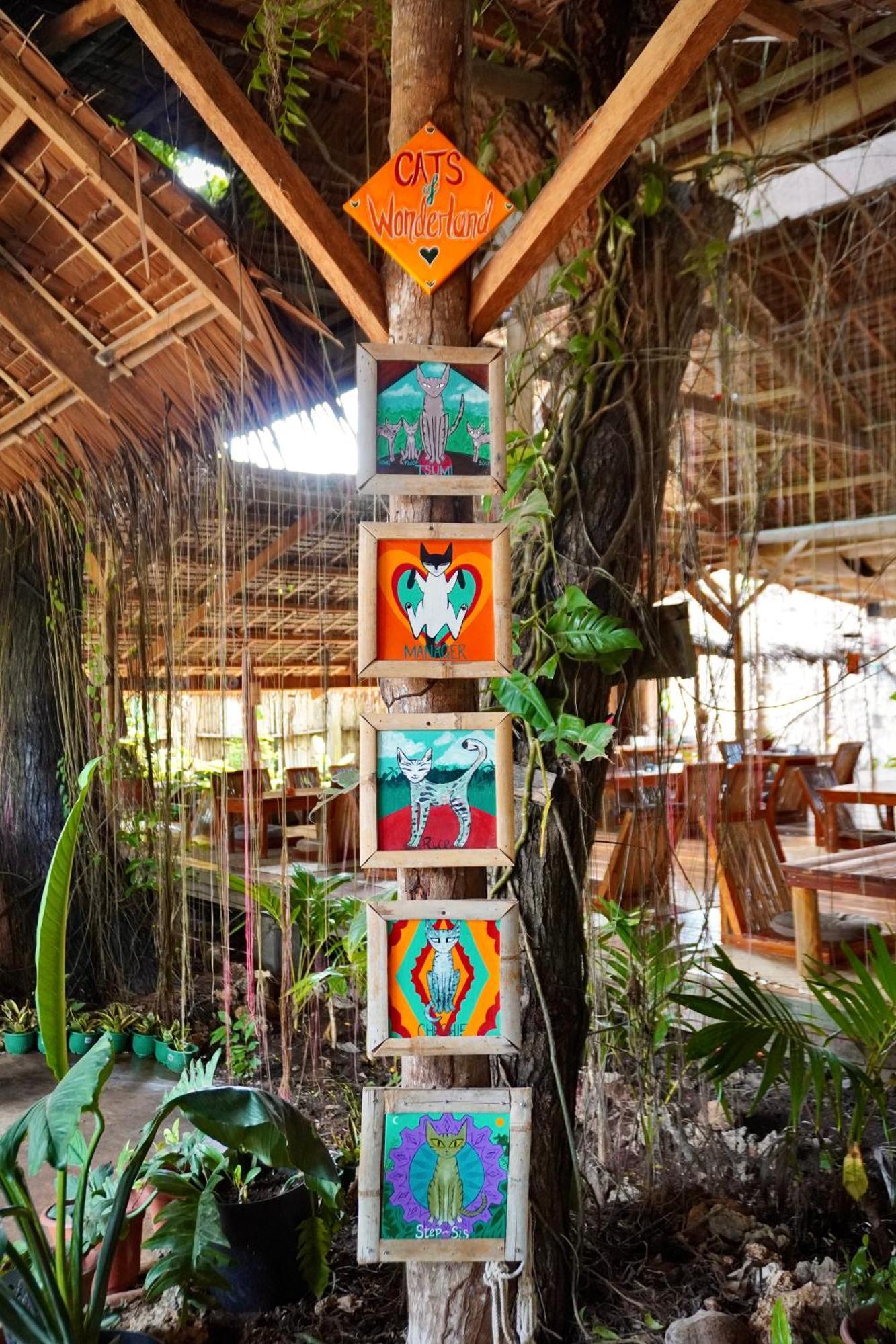 Wonderland Hotell Siquijor Eksteriør bilde